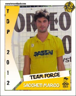 TEAM FORCE